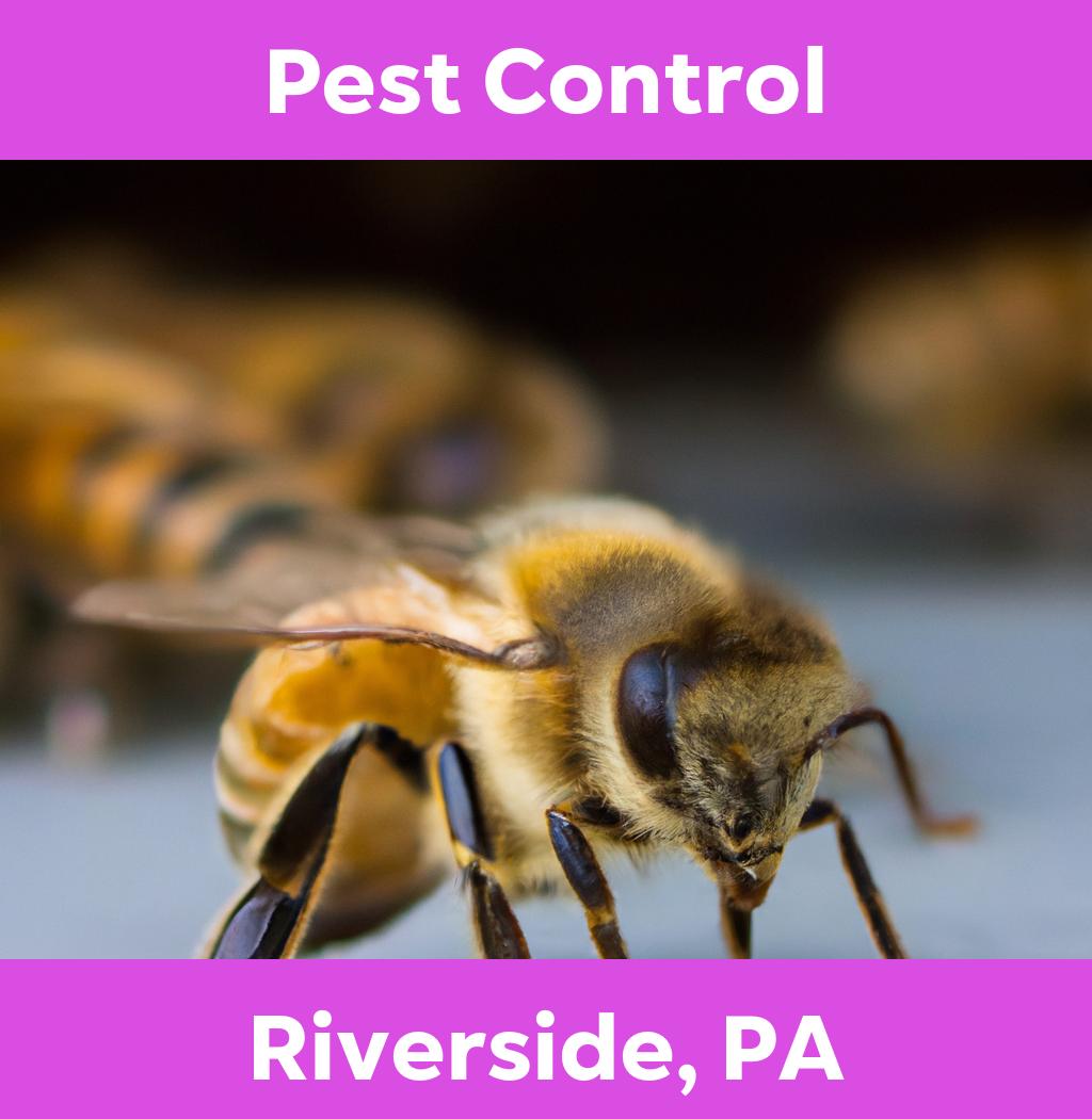 pest control in Riverside Pennsylvania
