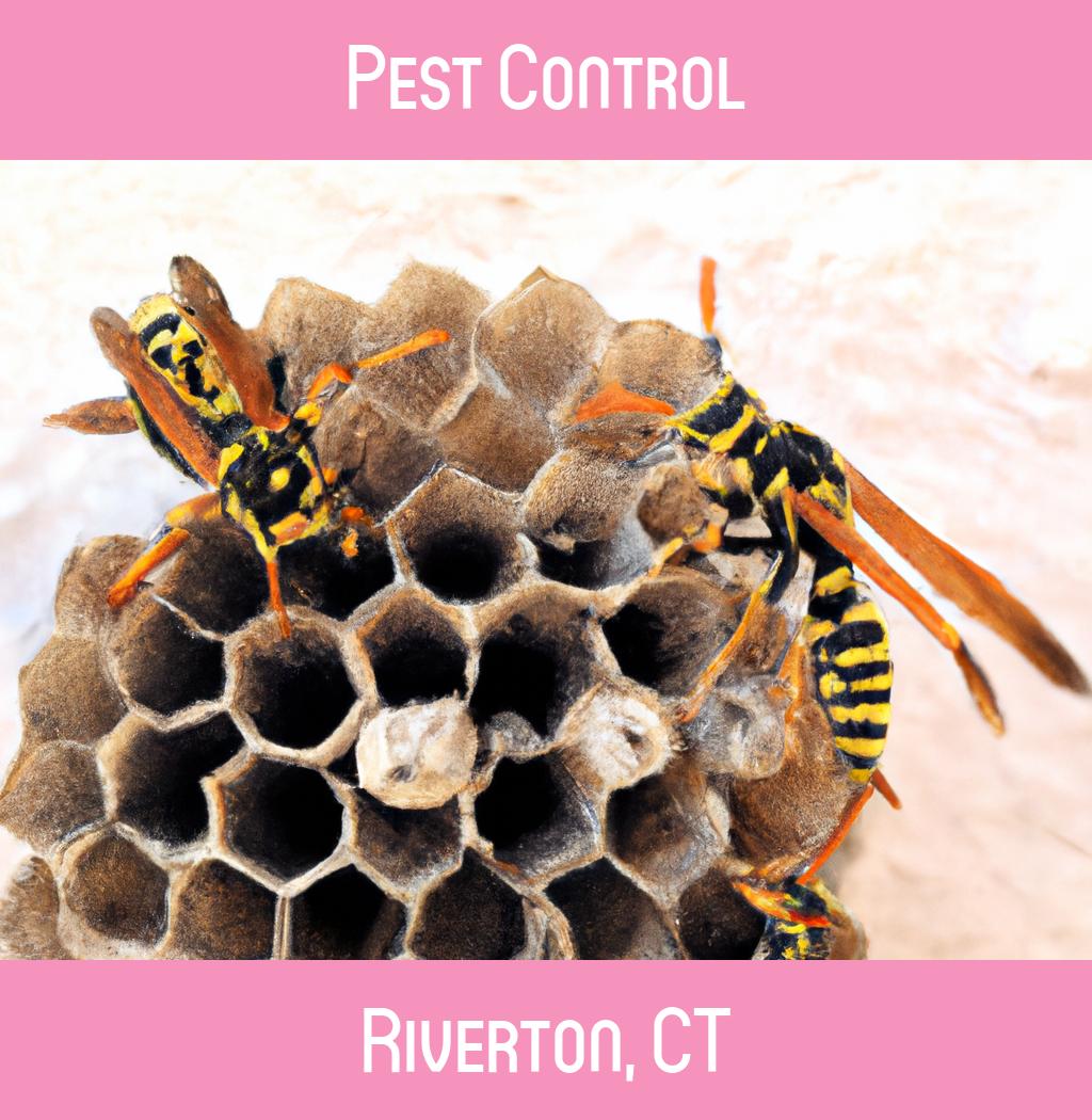 pest control in Riverton Connecticut