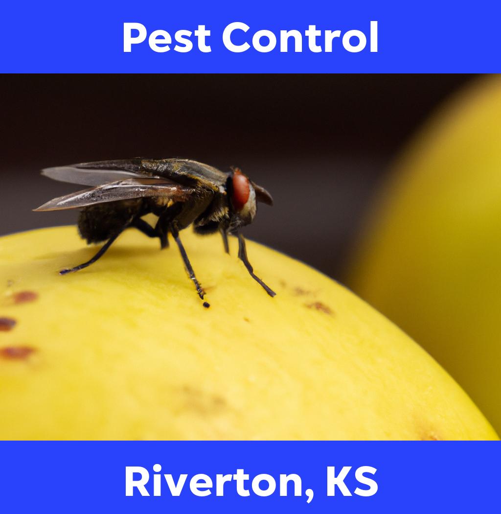 pest control in Riverton Kansas