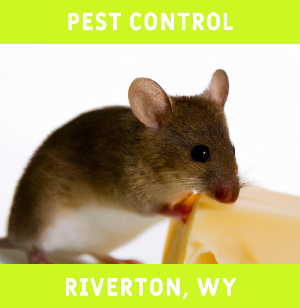 pest control in Riverton Wyoming