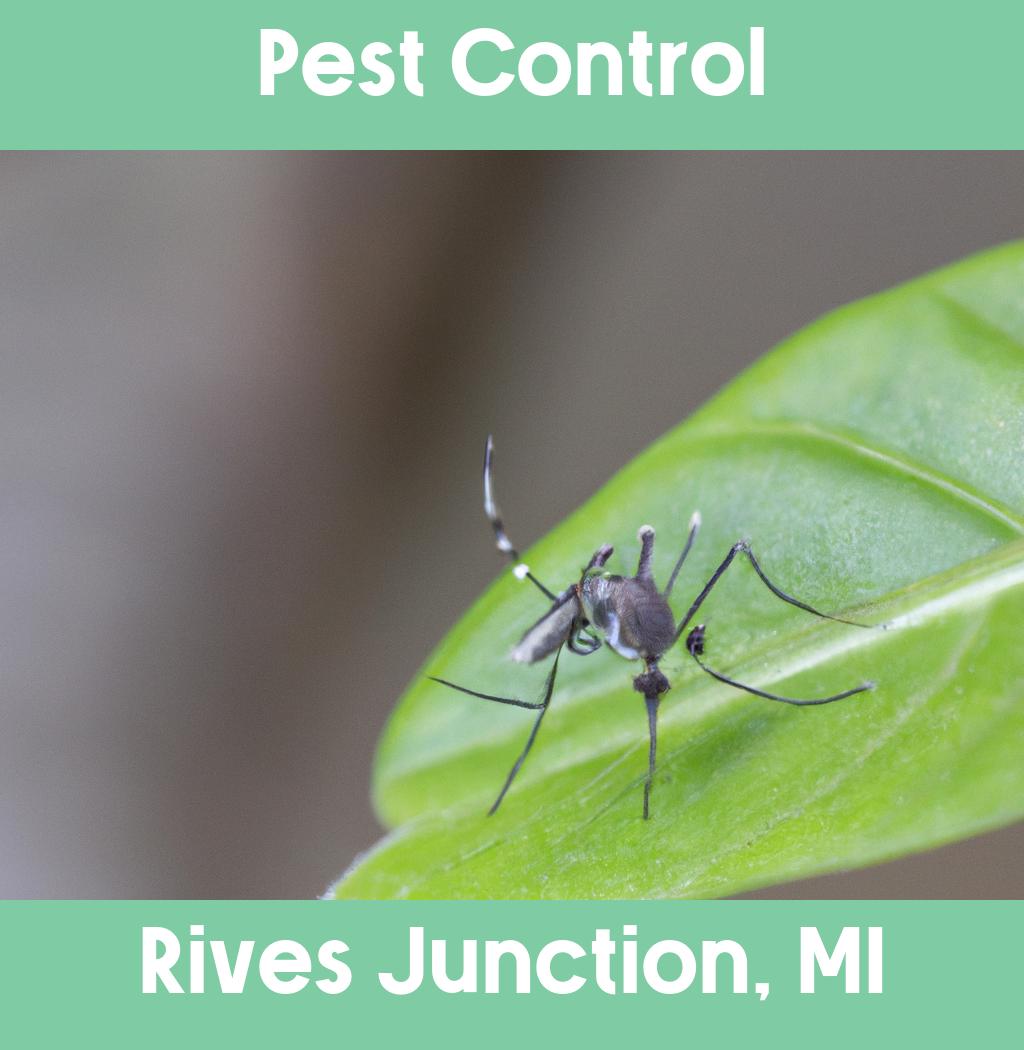 pest control in Rives Junction Michigan