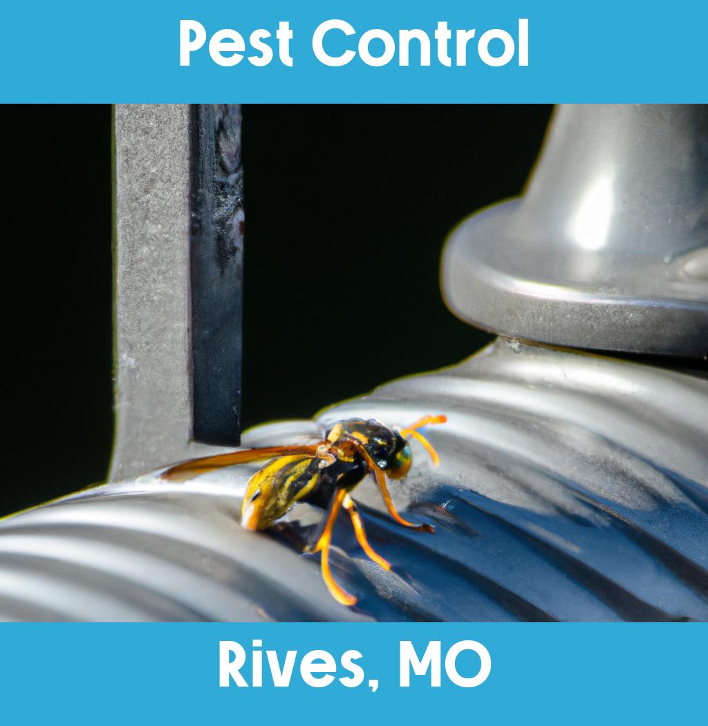 pest control in Rives Missouri