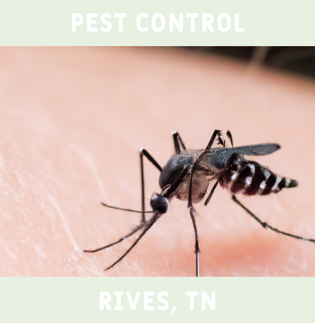 pest control in Rives Tennessee