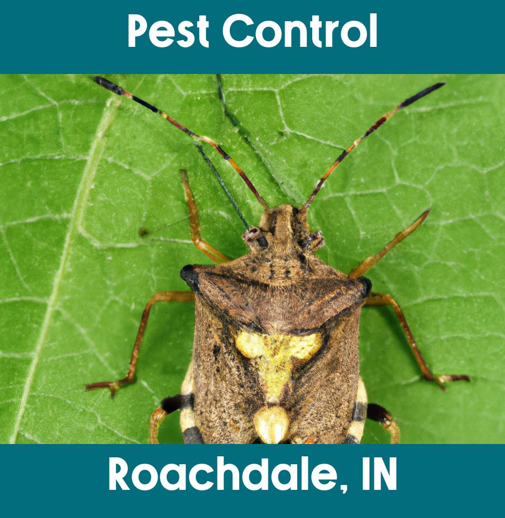 pest control in Roachdale Indiana