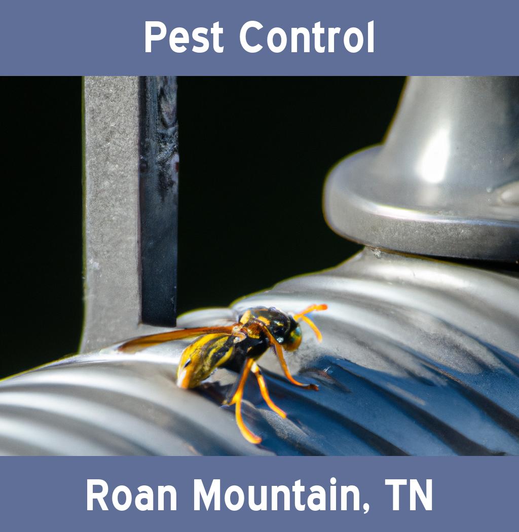 pest control in Roan Mountain Tennessee