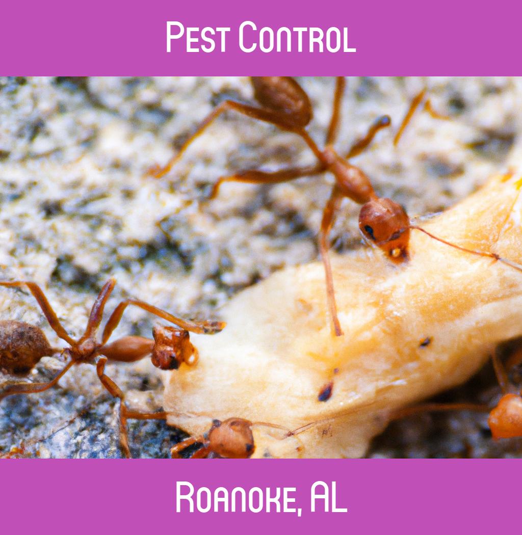 pest control in Roanoke Alabama