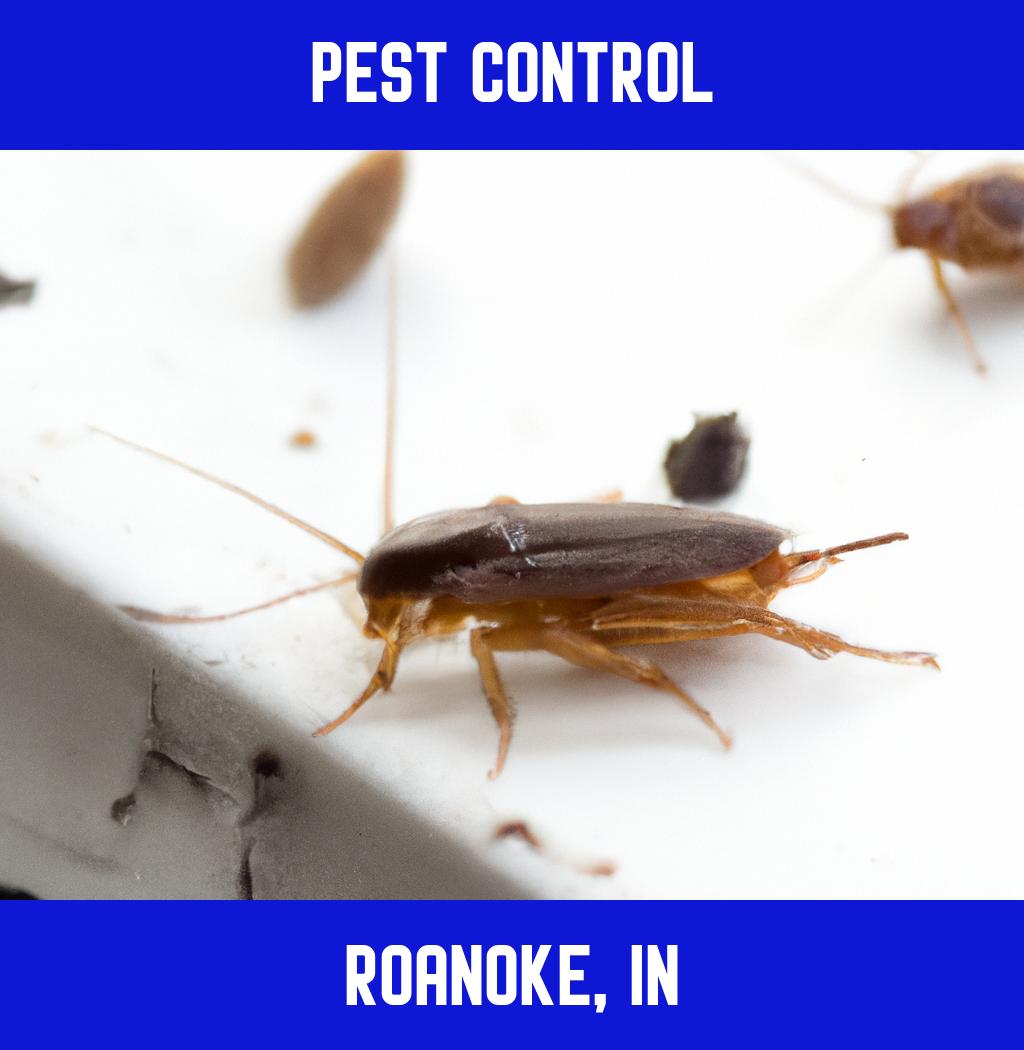pest control in Roanoke Indiana