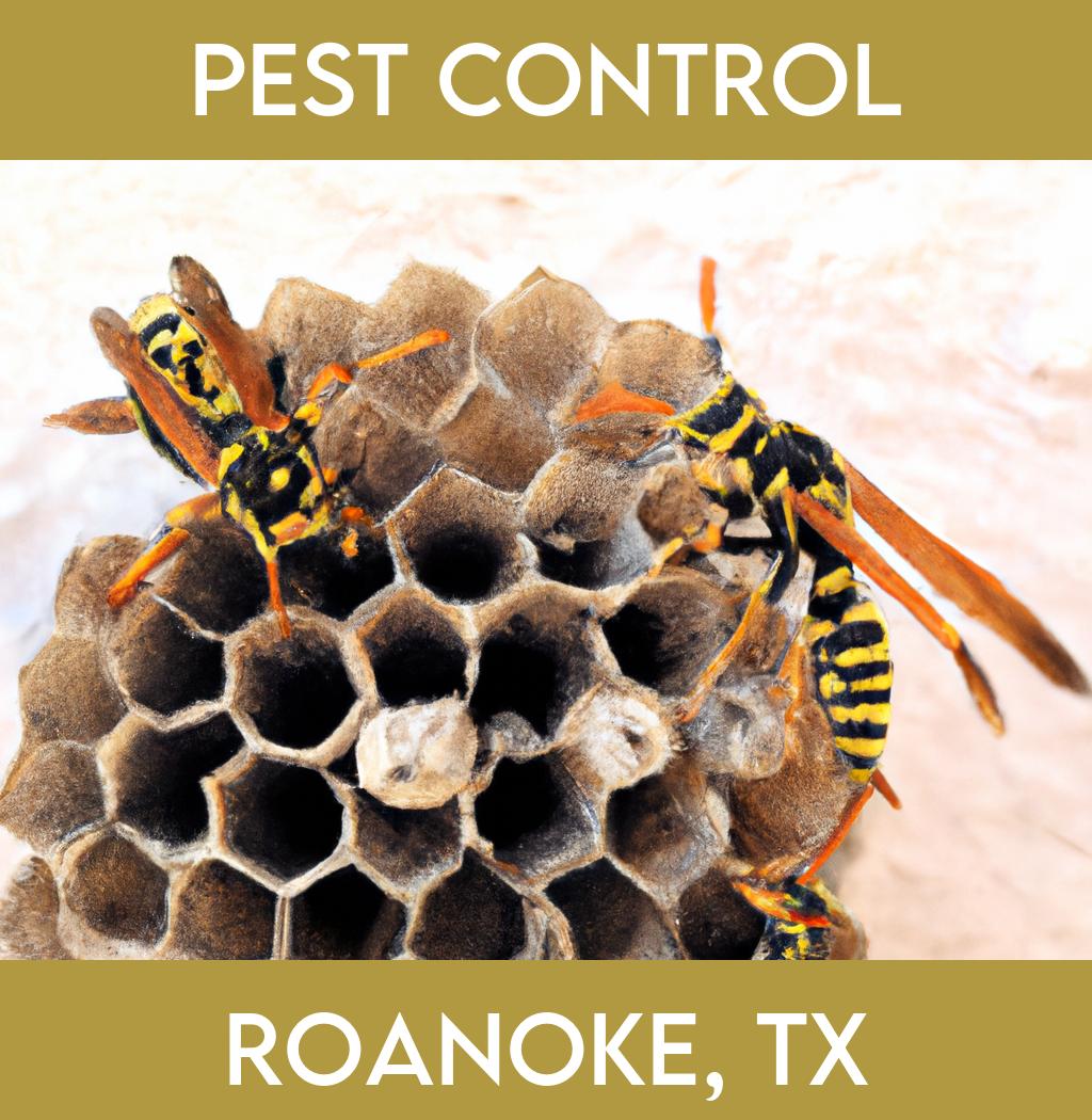 pest control in Roanoke Texas