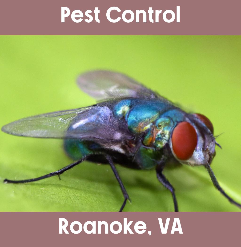 pest control in Roanoke Virginia