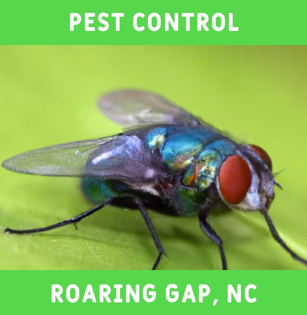 pest control in Roaring Gap North Carolina