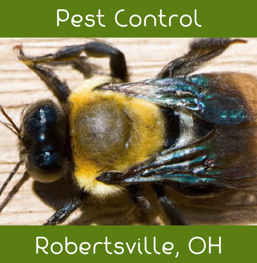 pest control in Robertsville Ohio