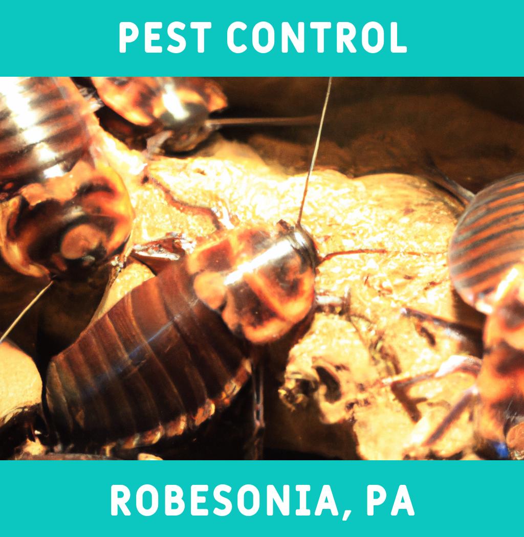 pest control in Robesonia Pennsylvania