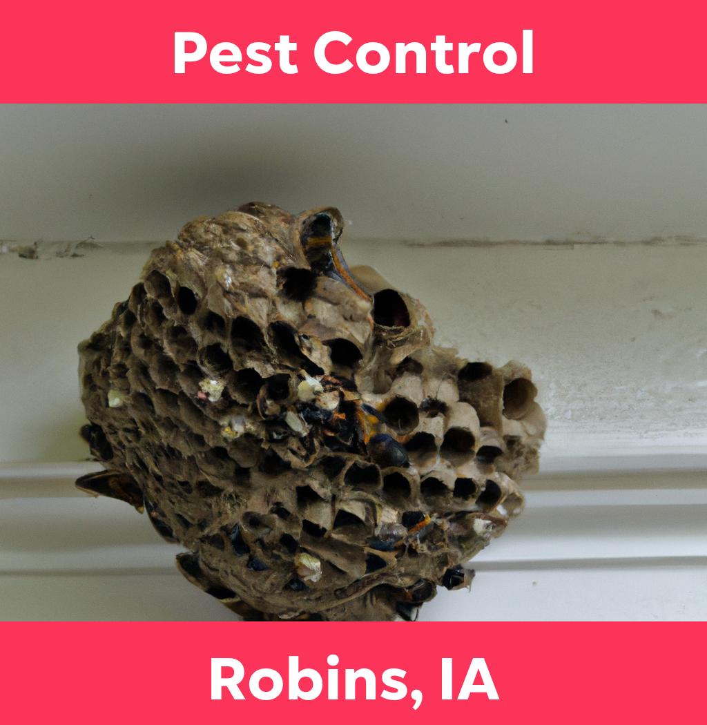 pest control in Robins Iowa