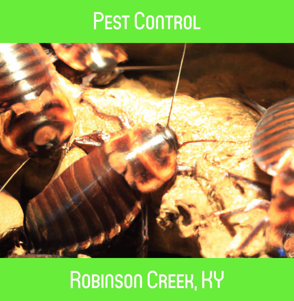 pest control in Robinson Creek Kentucky
