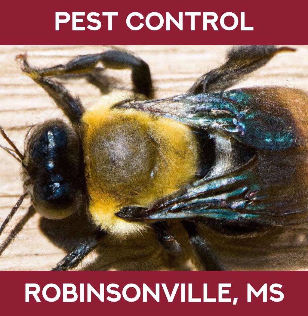 pest control in Robinsonville Mississippi