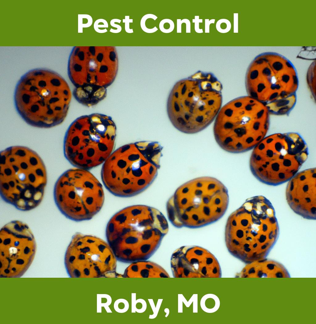 pest control in Roby Missouri