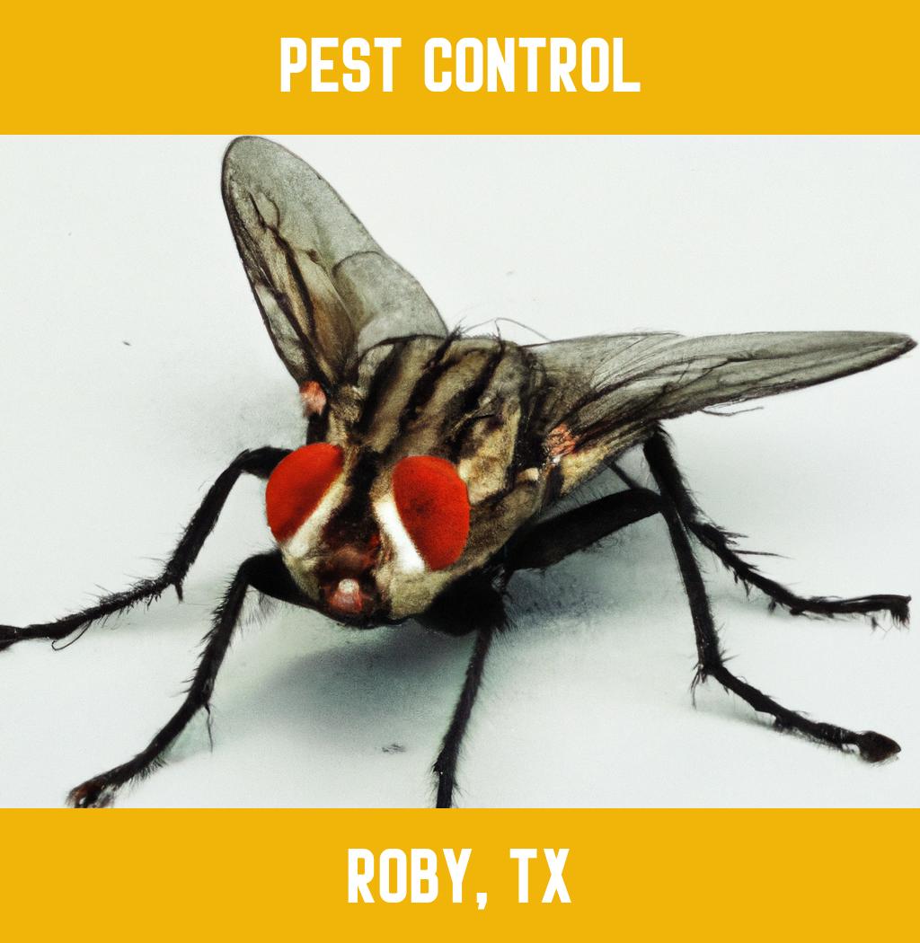 pest control in Roby Texas