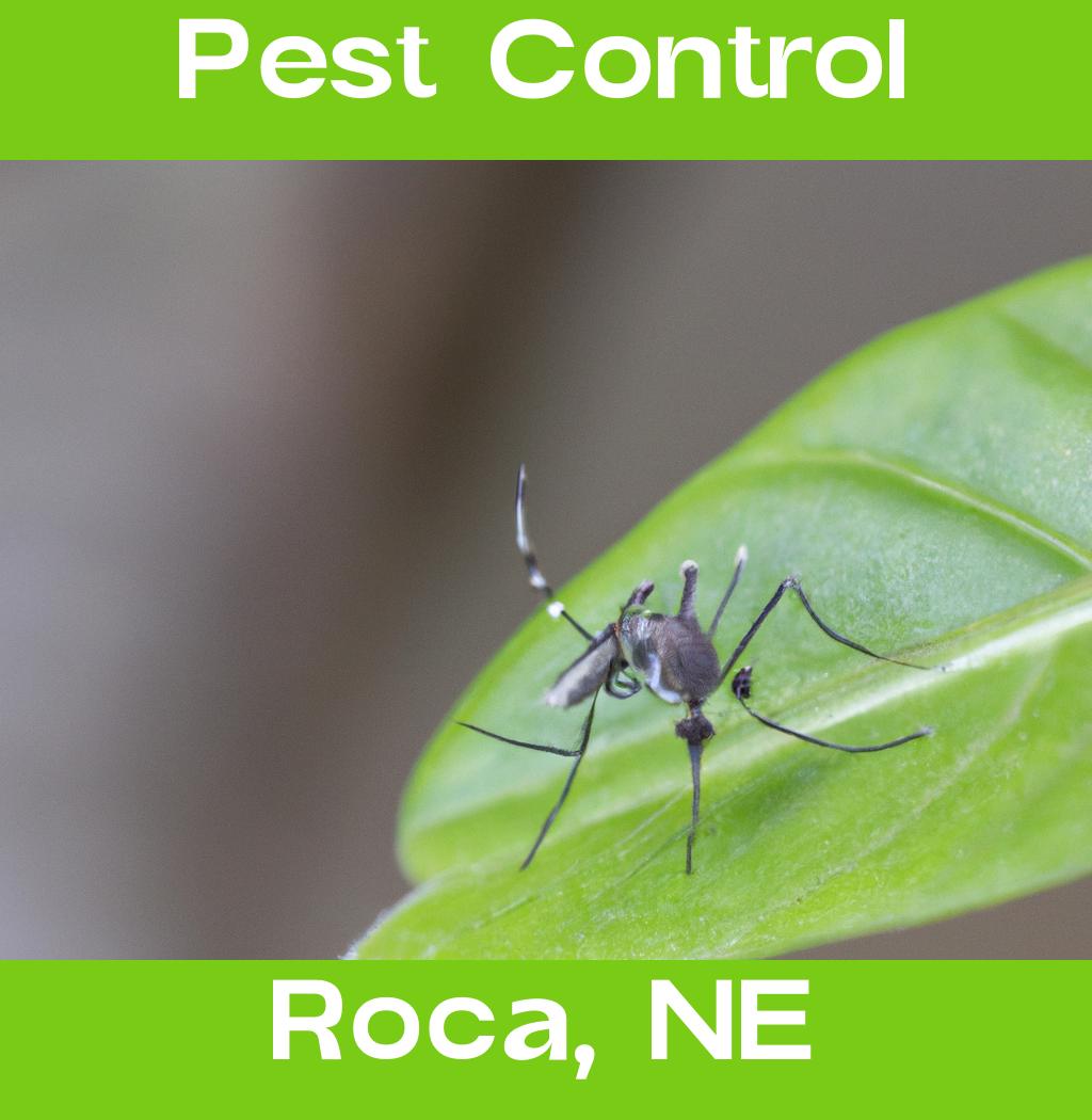 pest control in Roca Nebraska