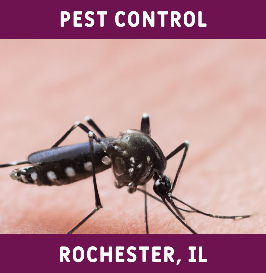 pest control in Rochester Illinois