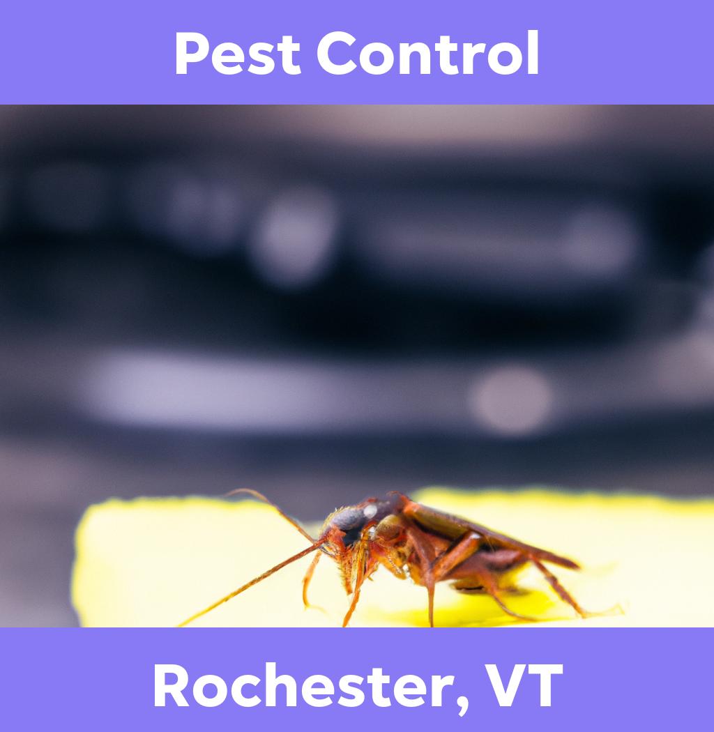 pest control in Rochester Vermont