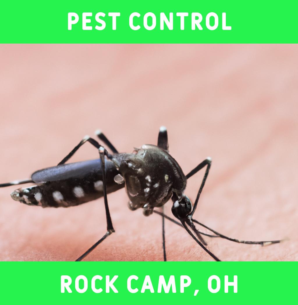 pest control in Rock Camp Ohio