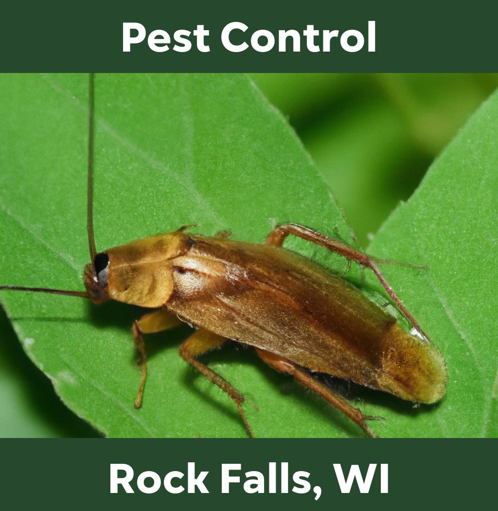 pest control in Rock Falls Wisconsin