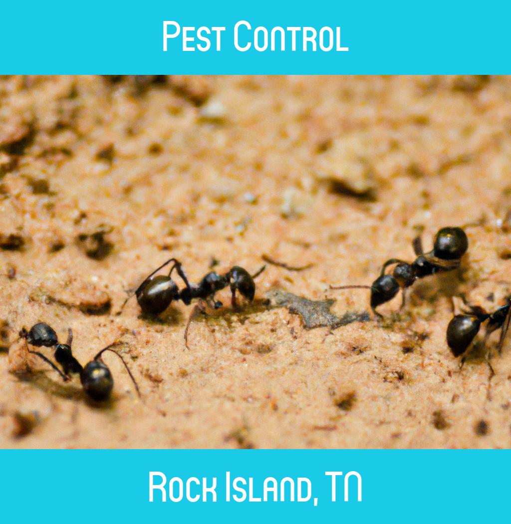 pest control in Rock Island Tennessee