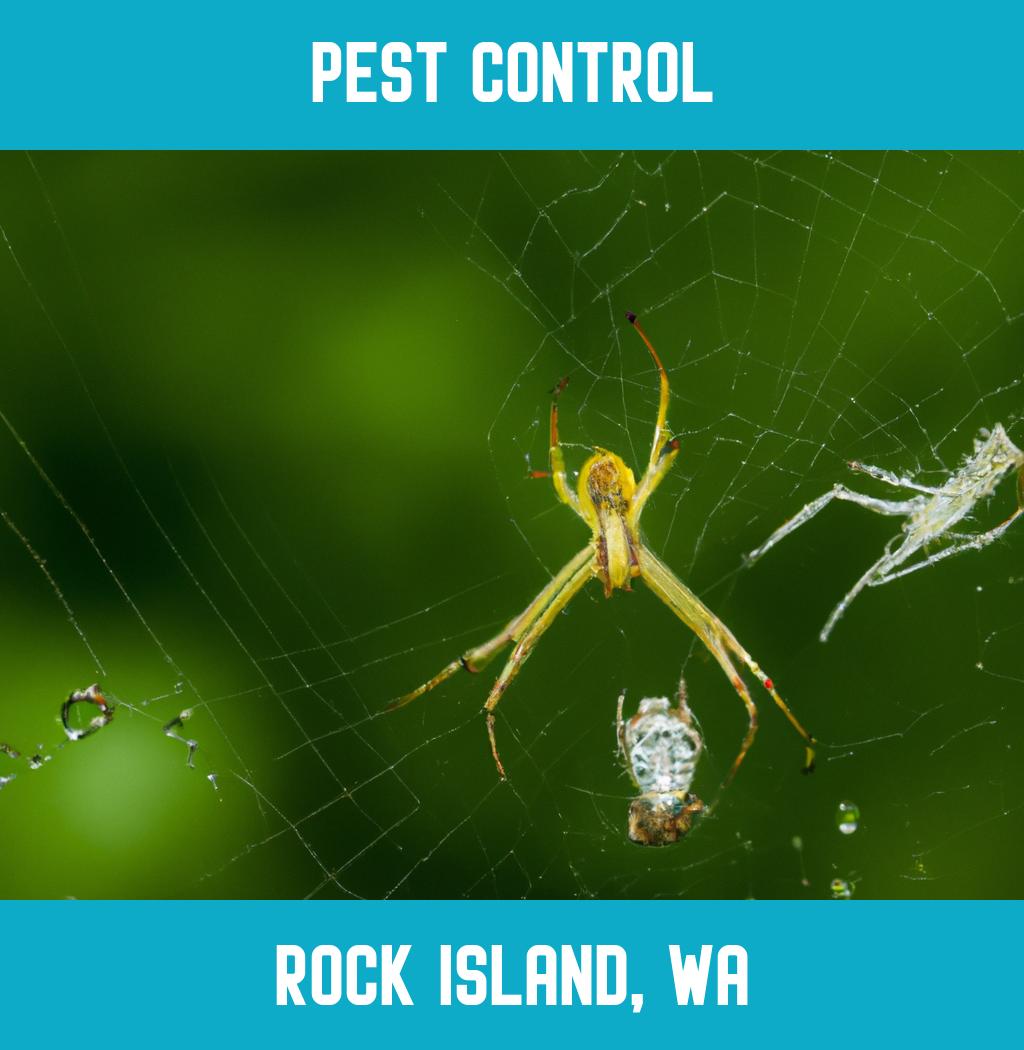 pest control in Rock Island Washington