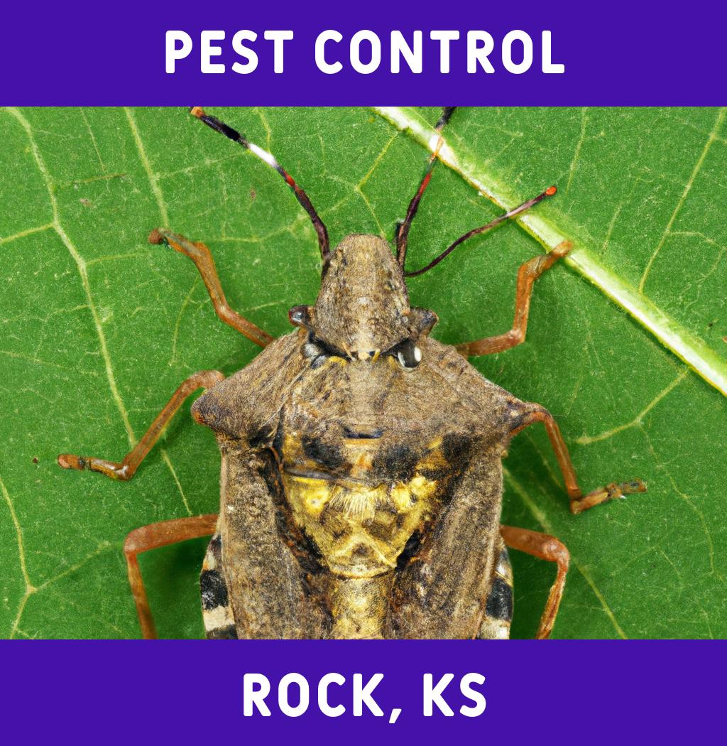 pest control in Rock Kansas