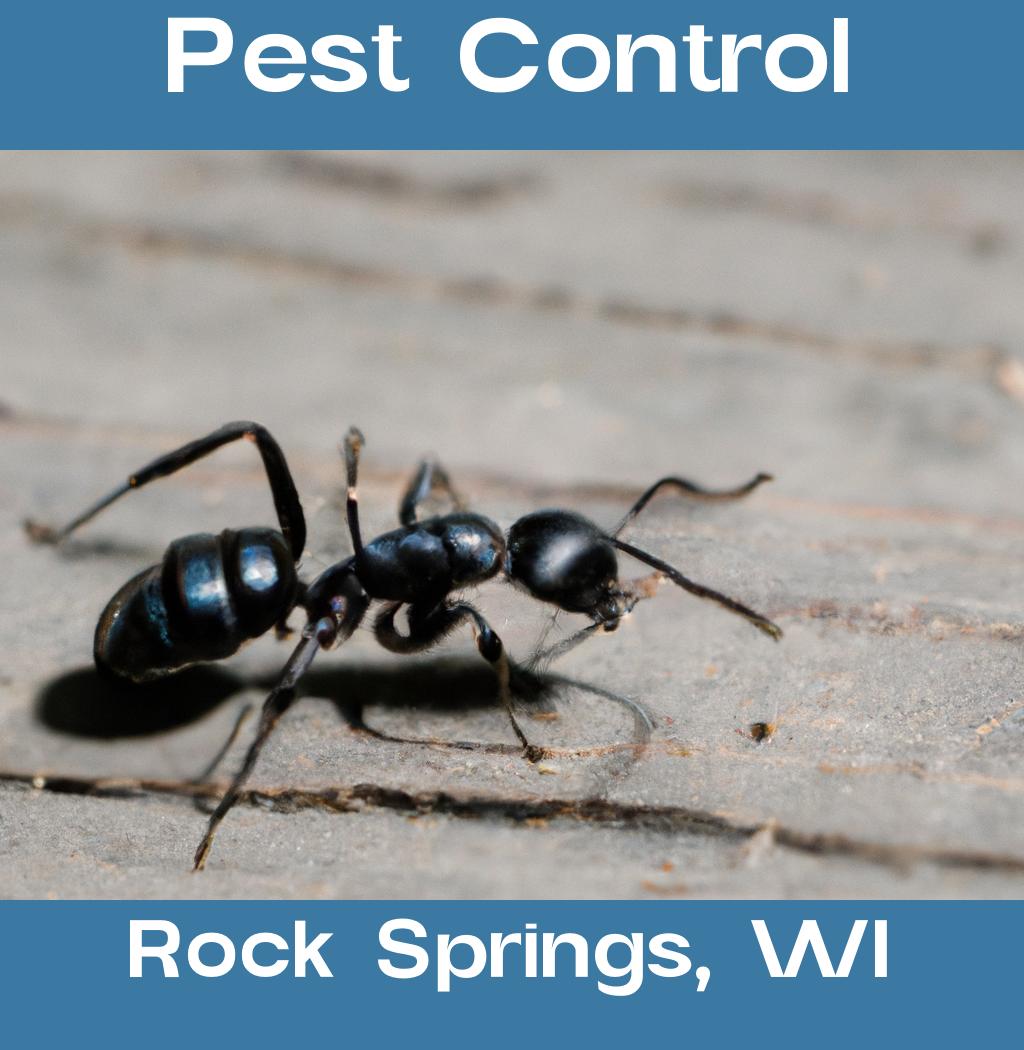 pest control in Rock Springs Wisconsin