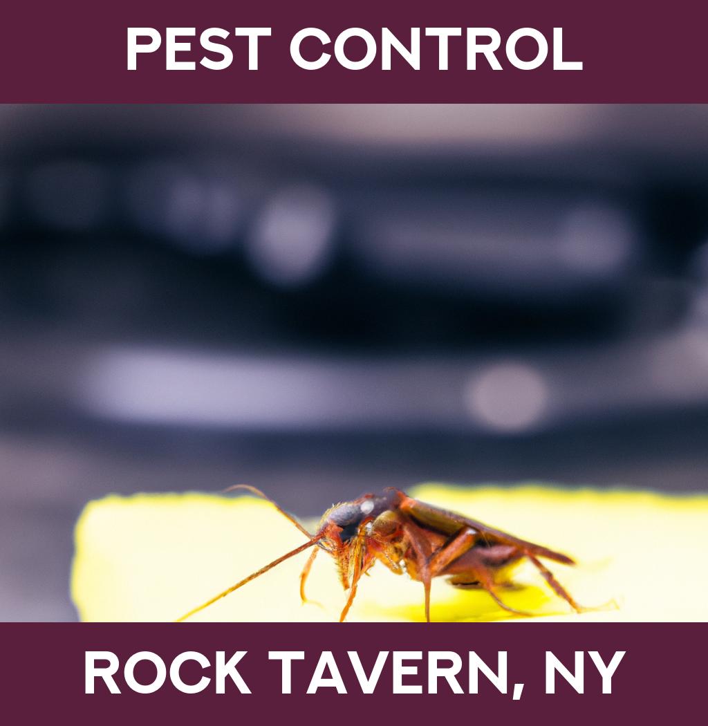 pest control in Rock Tavern New York