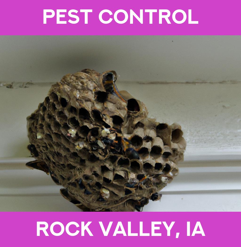 pest control in Rock Valley Iowa