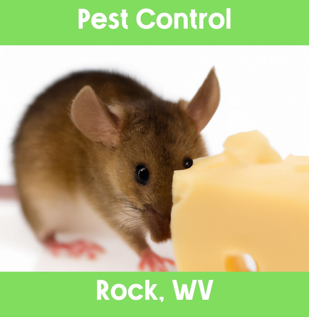 pest control in Rock West Virginia
