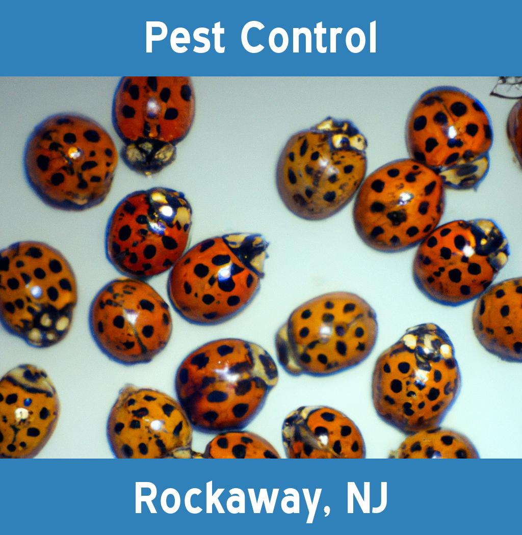pest control in Rockaway New Jersey