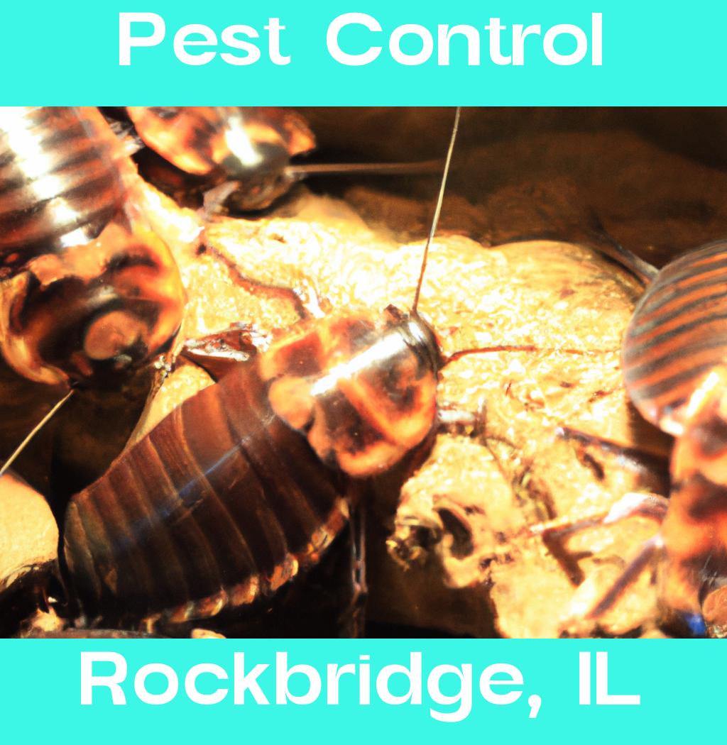 pest control in Rockbridge Illinois