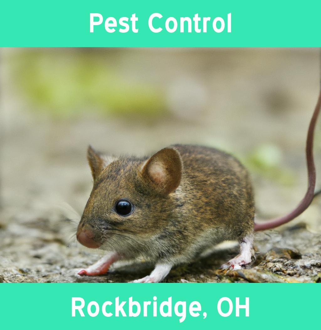 pest control in Rockbridge Ohio