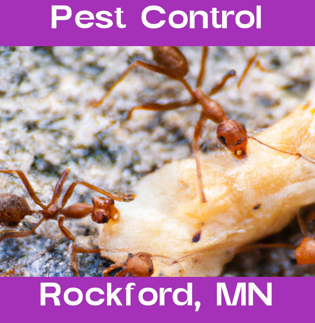 pest control in Rockford Minnesota