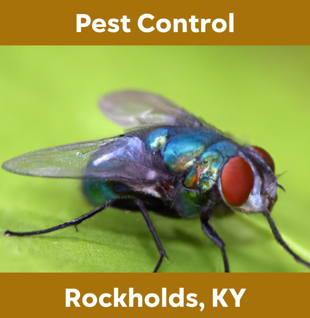 pest control in Rockholds Kentucky