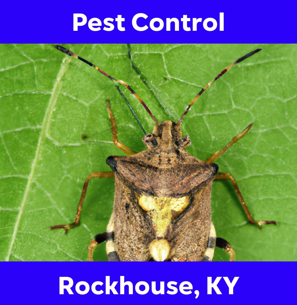pest control in Rockhouse Kentucky