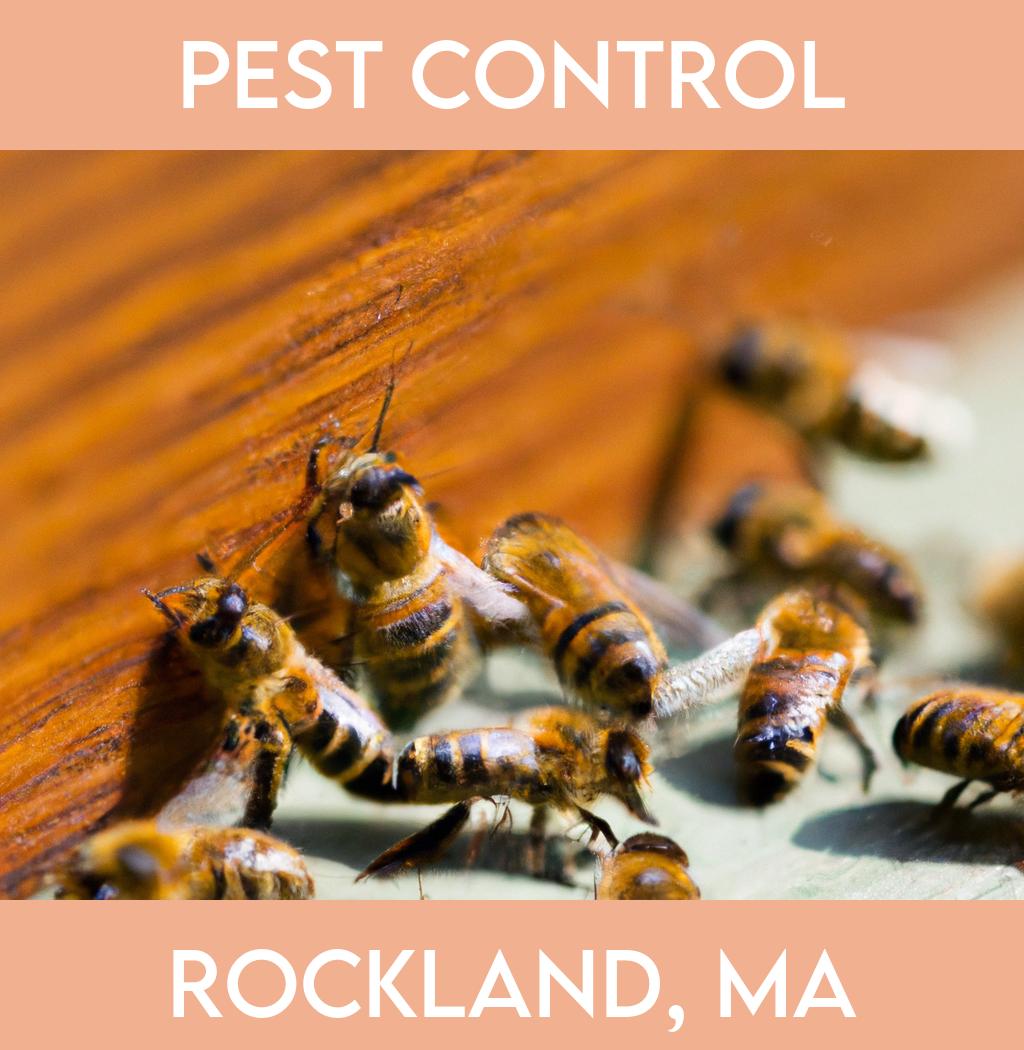 pest control in Rockland Massachusetts