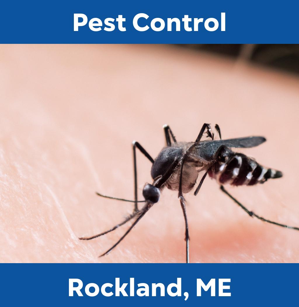 pest control in Rockland Maine