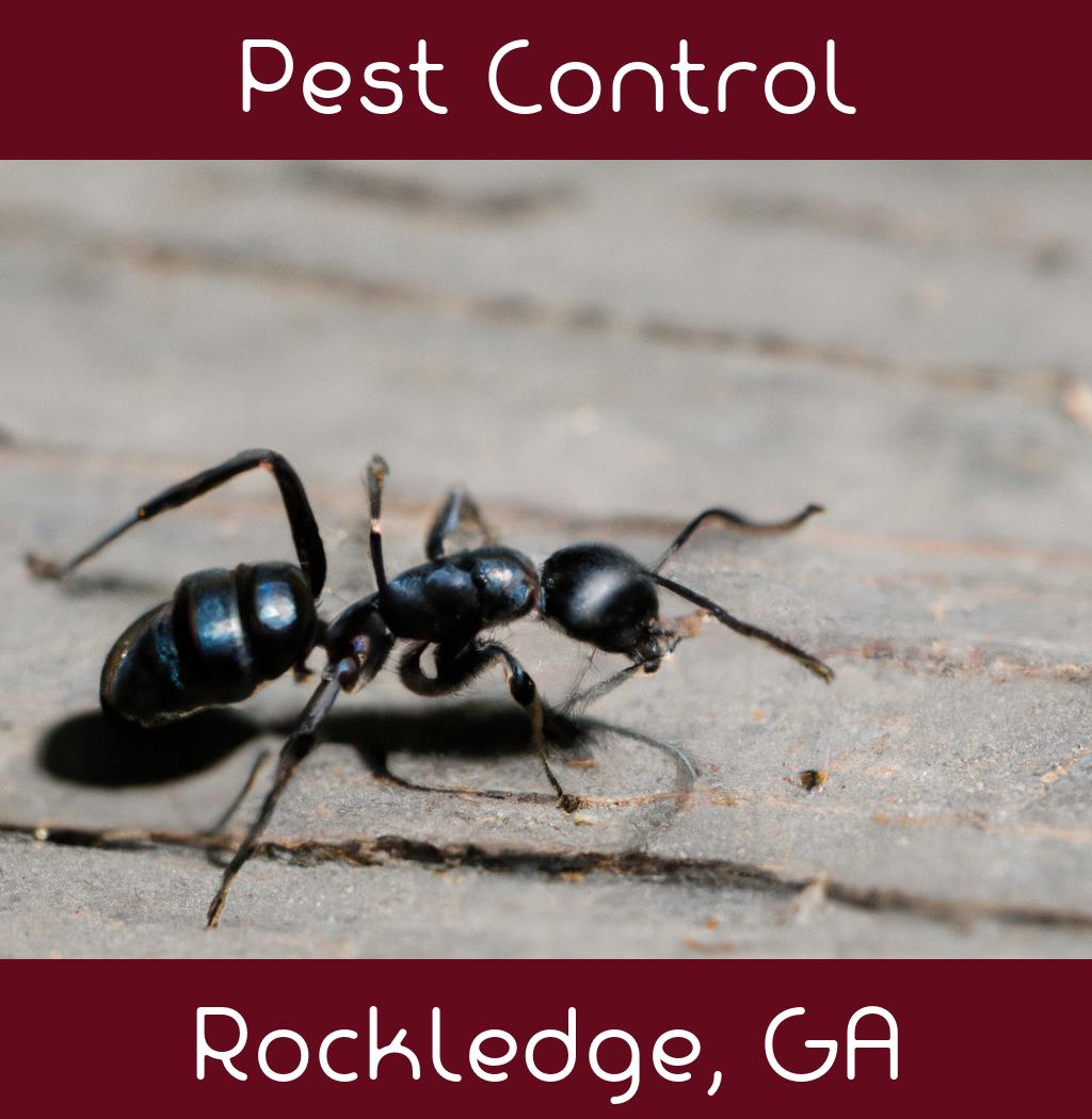 pest control in Rockledge Georgia