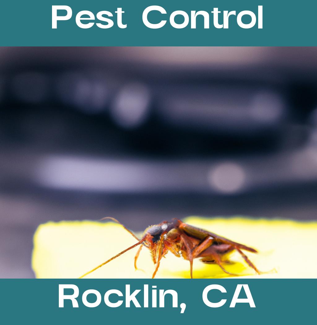 pest control in Rocklin California