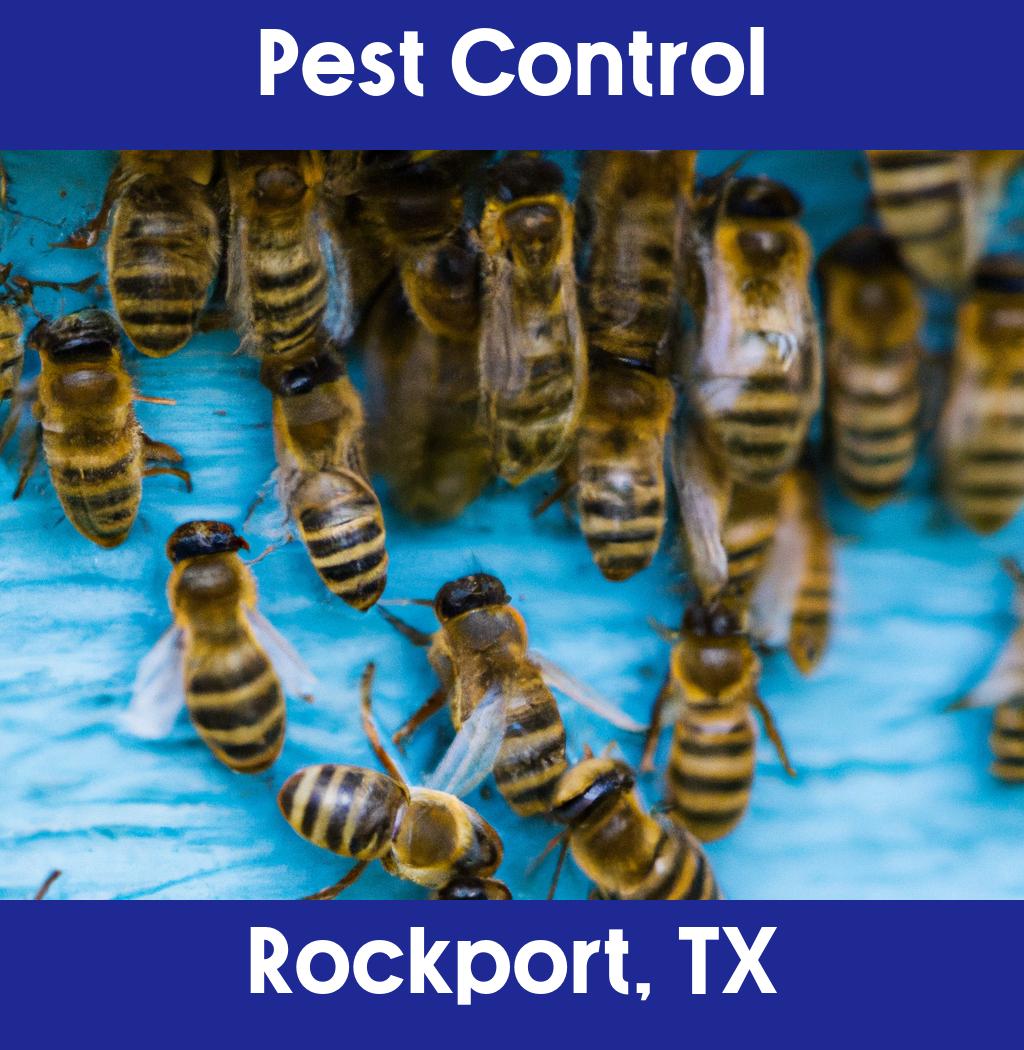 pest control in Rockport Texas