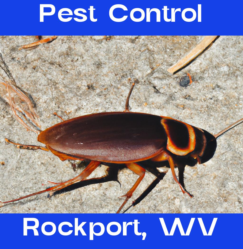 pest control in Rockport West Virginia