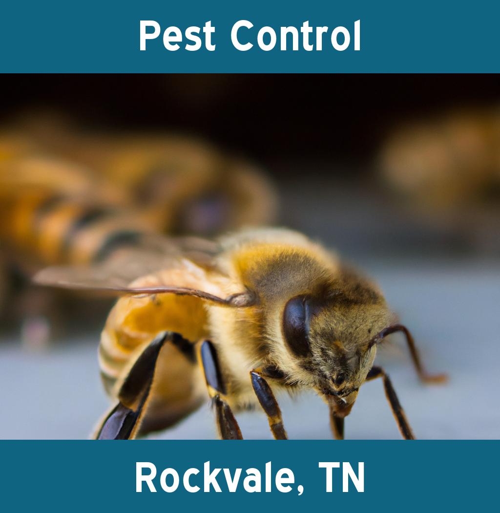 pest control in Rockvale Tennessee