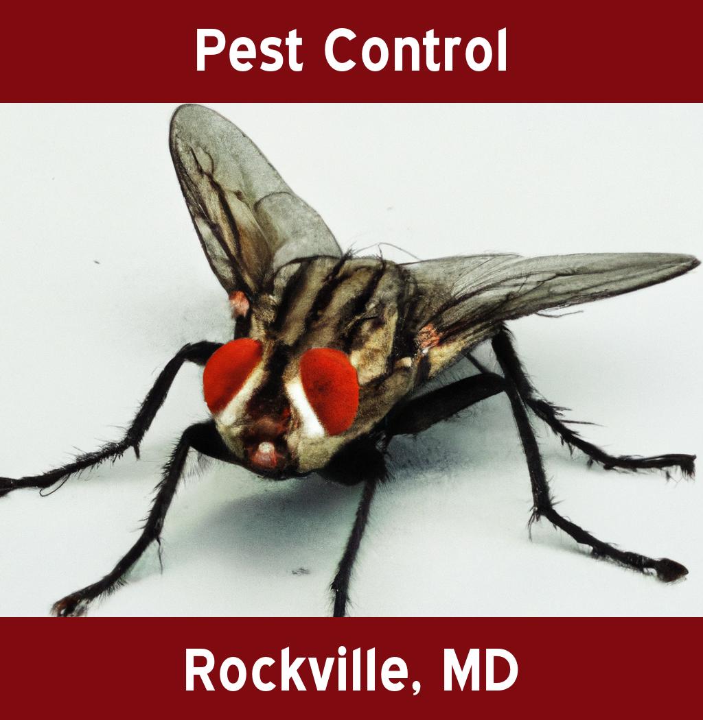 pest control in Rockville Maryland