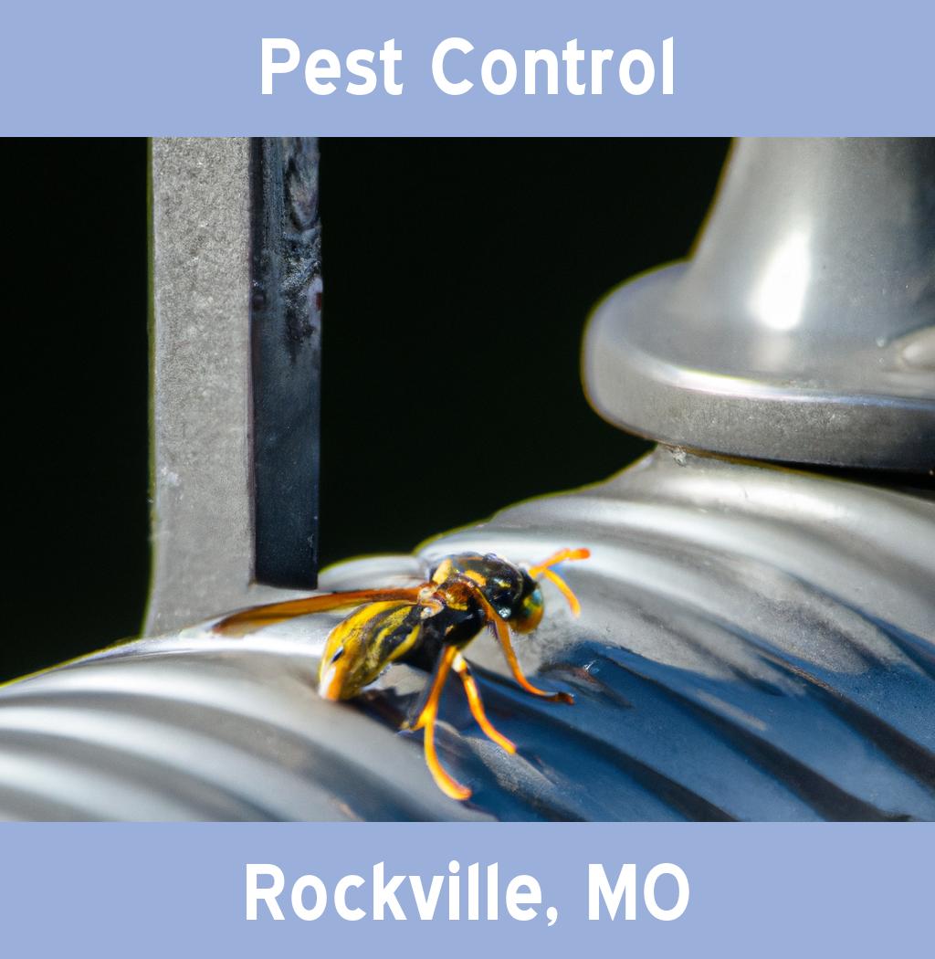 pest control in Rockville Missouri