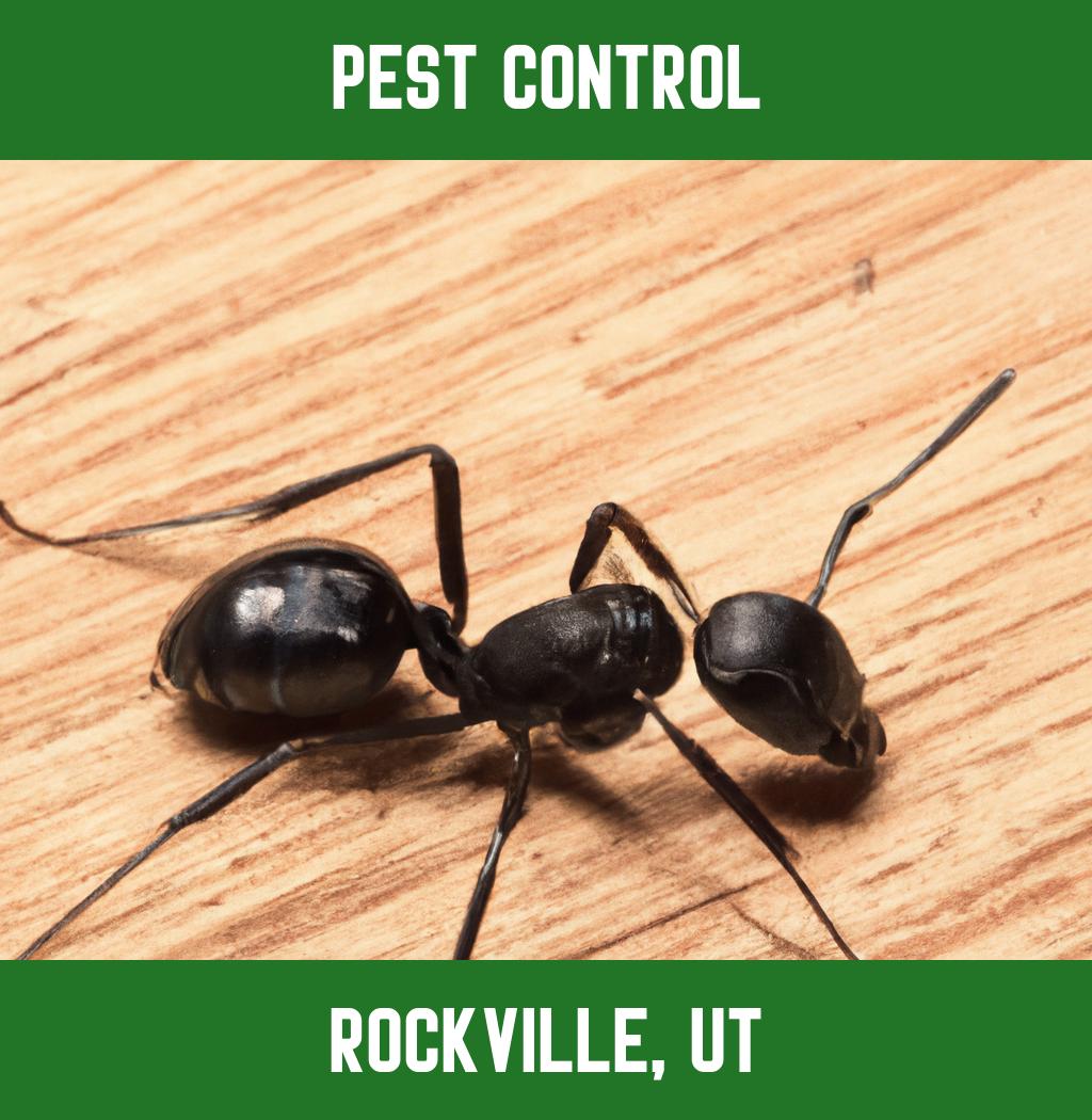 pest control in Rockville Utah