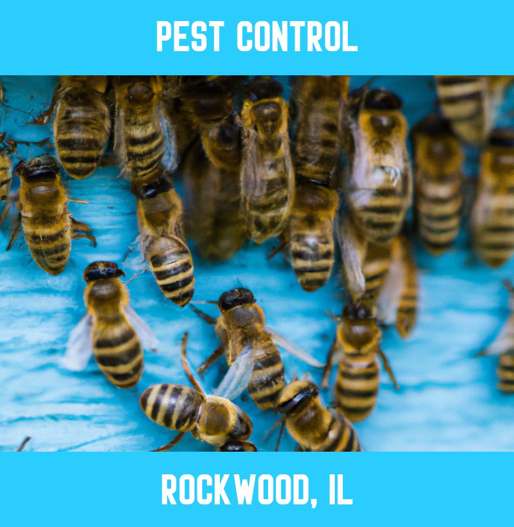 pest control in Rockwood Illinois